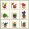 Needle Felting Kit, 9 PCS Succulent Needle Felting Beginner Kits, Wool Felting Kit Including Wool Roving, Felting Pad, Felting Needles and Instructions for DIY Felting Starters